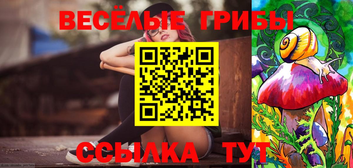 Корсаков  Псилоцибиновые грибы Magic Shrooms  Вход с VPN 
