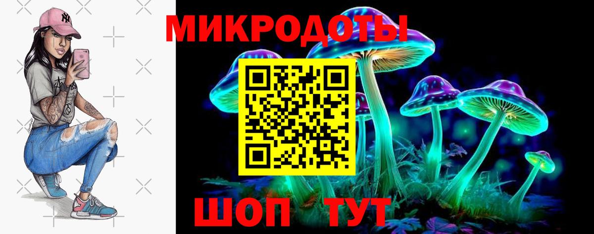 Галлюциногенные грибы Psilocybine cubensis Корсаков